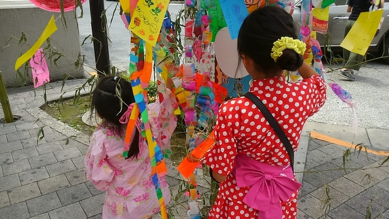 お花見の画像